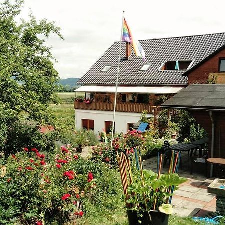 Ferienwohnung Mit Weserblick Und Kamin Hessisch Oldendorf Екстер'єр фото